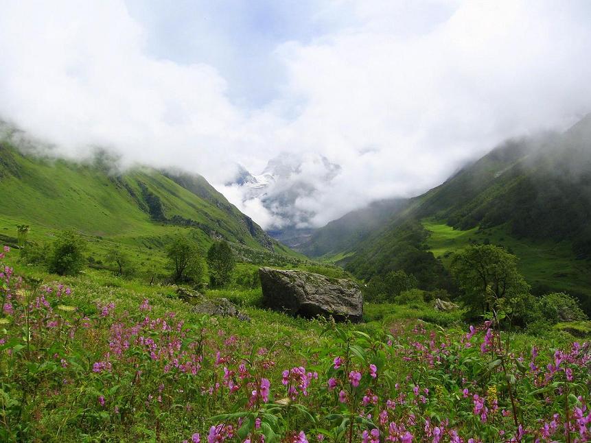 O Vale das Flores no território dos deuses